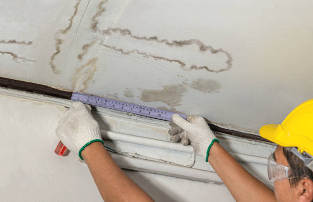 Reliable Burst Pipe Cleanup contractor in Ardmore, OK by Water Damage Irwin